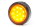 Blinkleuchte LED 12V/24V (L/R)